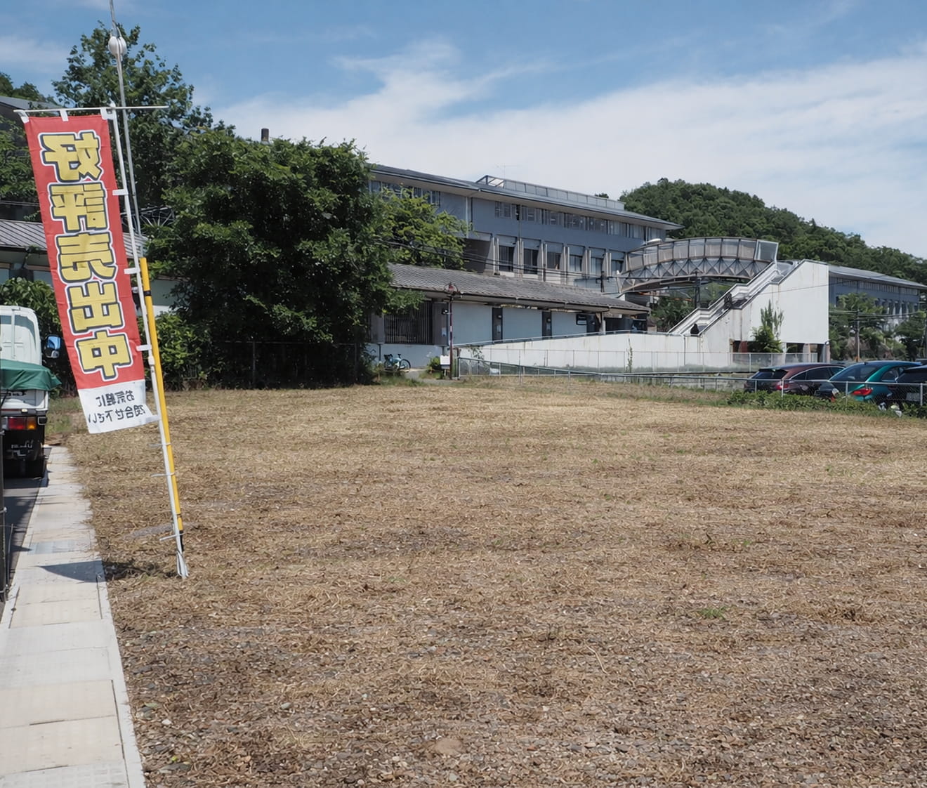 かつら材木についての画像